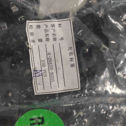 R201SN(B205)-0 ROHS resmi
