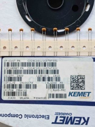 C324C101J1G5TA7301 100PF 50V 5mm MULTİ KEMET SERAMİK KONDANSATÖR resmi