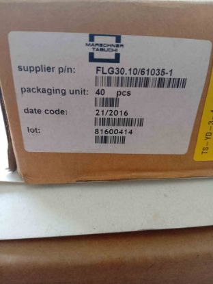 FLG30.10/61035-1 9V 6VA 50/60Mz Trafo resmi