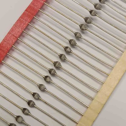 1N5619 600V 1A DİYOT resmi