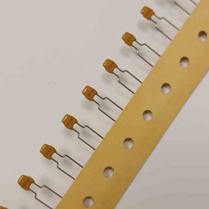 SR216C331KAA 330PF 200V 5mm SERAMİK AVX SERAMİK KONDANSATÖR resmi