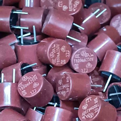 T800MA250V 800Ma 250V K.TİPİ Sigorta resmi