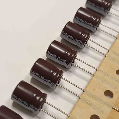 22MF 100V 8x11.5 LELON ELKO KONDANSATÖR resmi