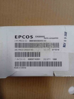 B88069X5600S102 2000V Paratoner resmi