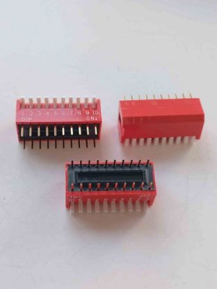 DPL10V 10POS Swich resmi