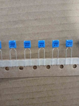 B32559C8102K289Z1 1NF 630V 5mm EPCOS POLYESTER KONDANSATÖR resmi