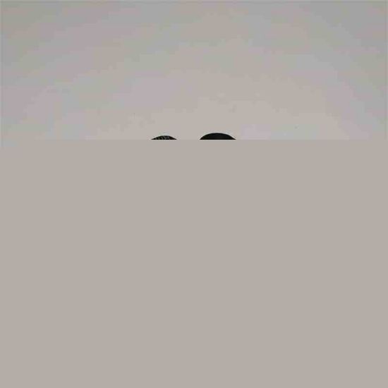 CH22220048 10UH 3A EPCOS KONDANSATÖR TİPİ BOBİN resmi