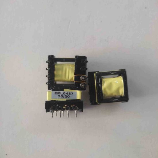 ERL0437  ELECTRONICA resmi