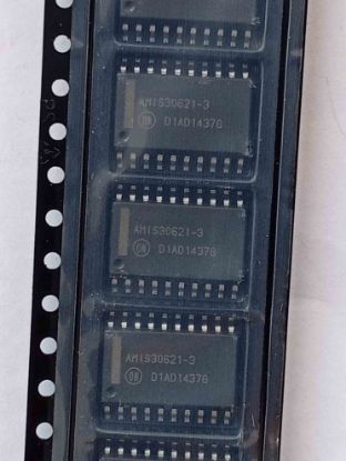AMIS30621C6213RG resmi