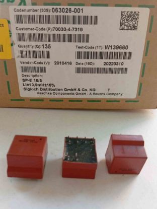 063026-001 KASCHKE BOBİN 10.9mH resmi