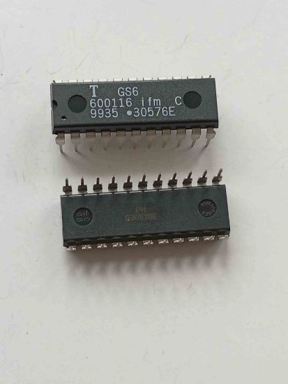 GS6600116 TEMIC ENTEGRELER resmi